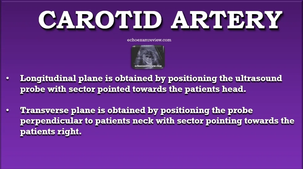 SmartSelect_20190424-193227_PowerPoint.jpg