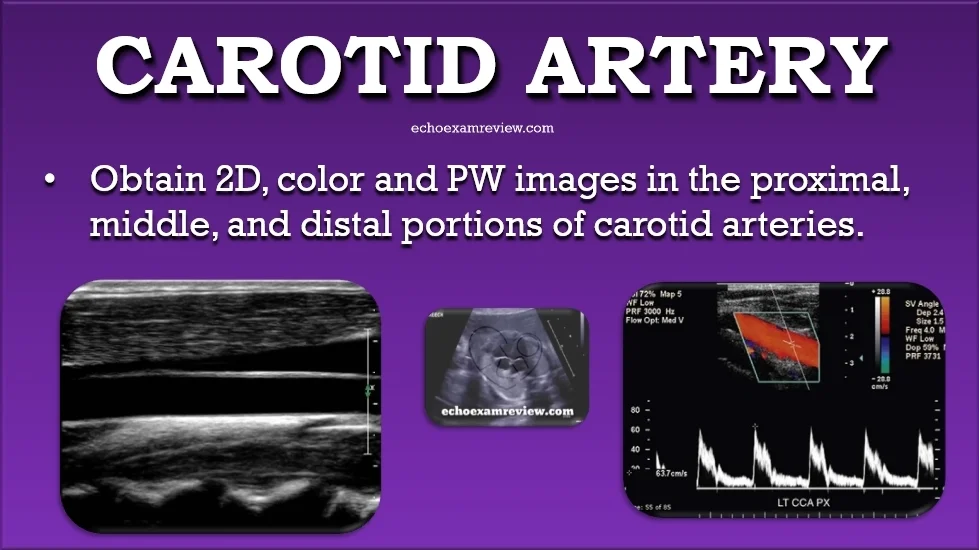 SmartSelect_20190424-194201_PowerPoint.jpg
