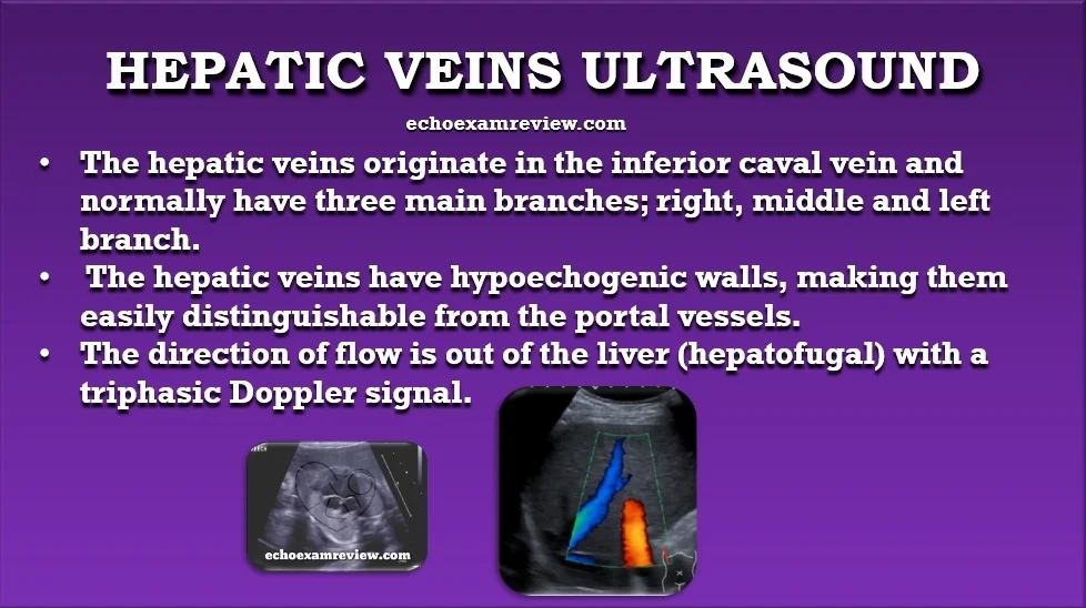 Hepatic Vein
