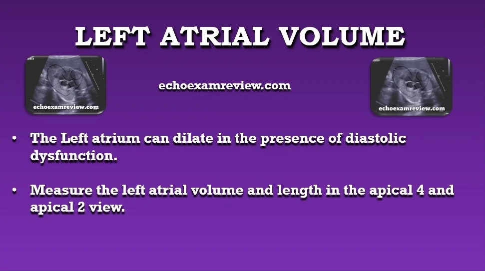 Left Atrial Volume and Size
