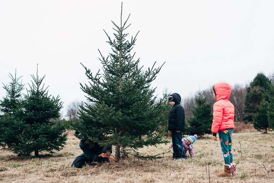Christmas Tree Farm Westport Connecticut Family-12.jpg