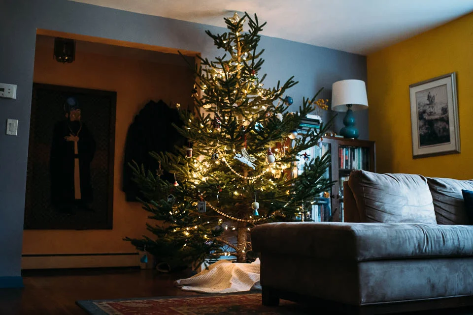 Fairfield County Christmas Tree Farm