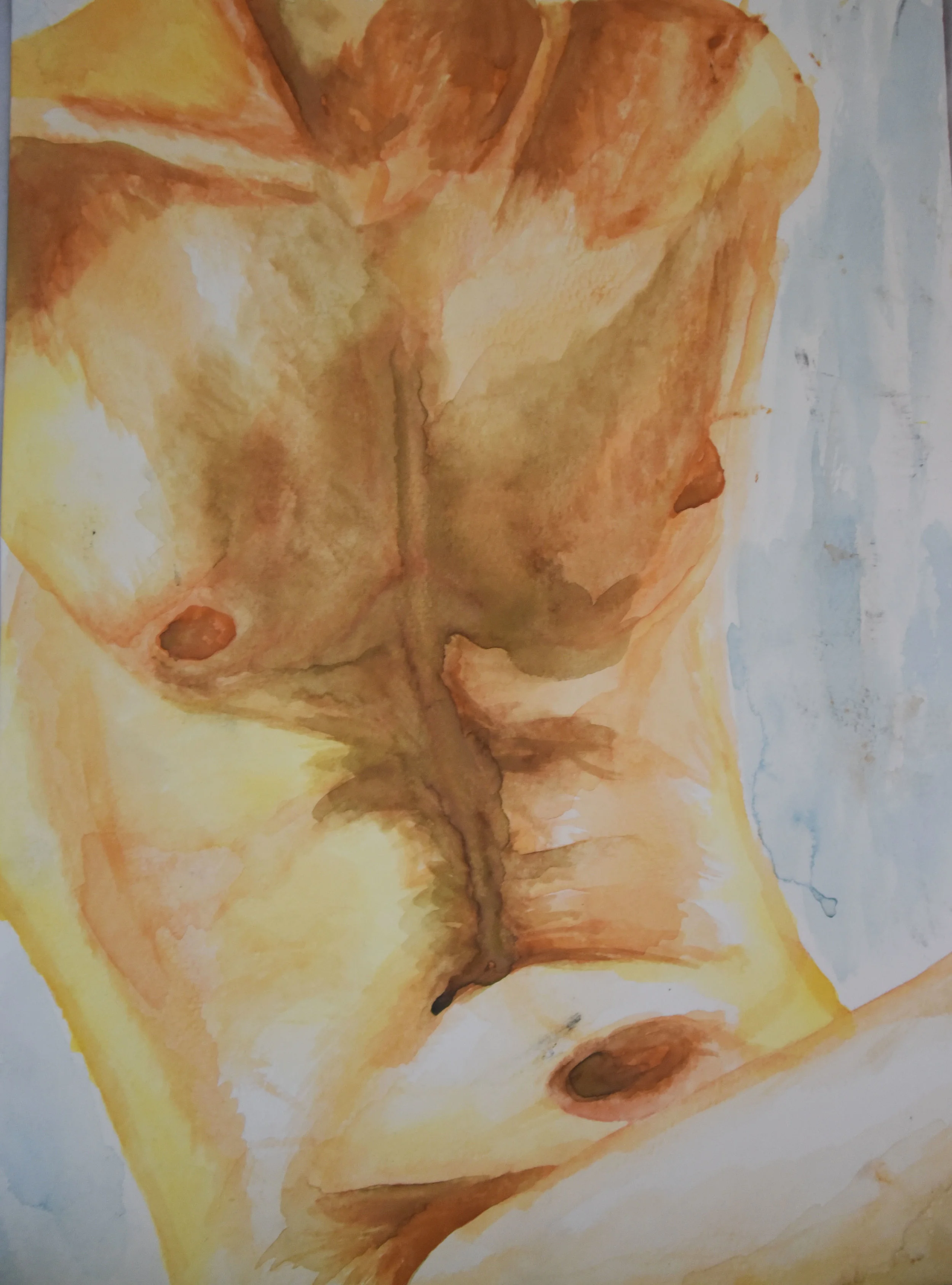 11"x15" | watercolor