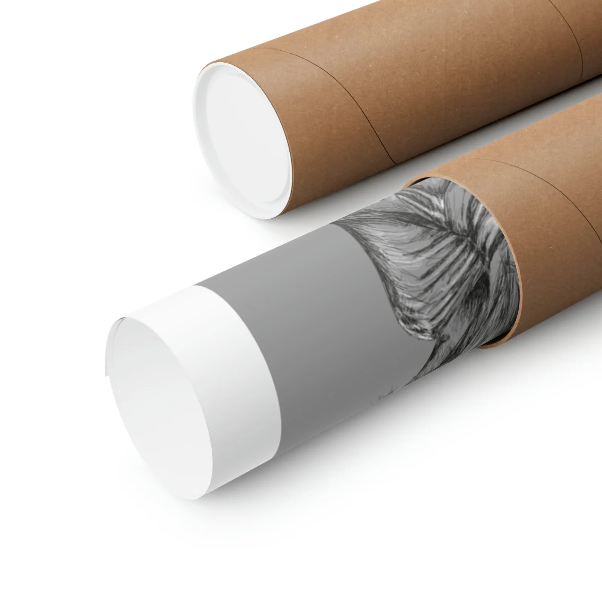 01e15498f52700b70cbf4ec7ab20d476