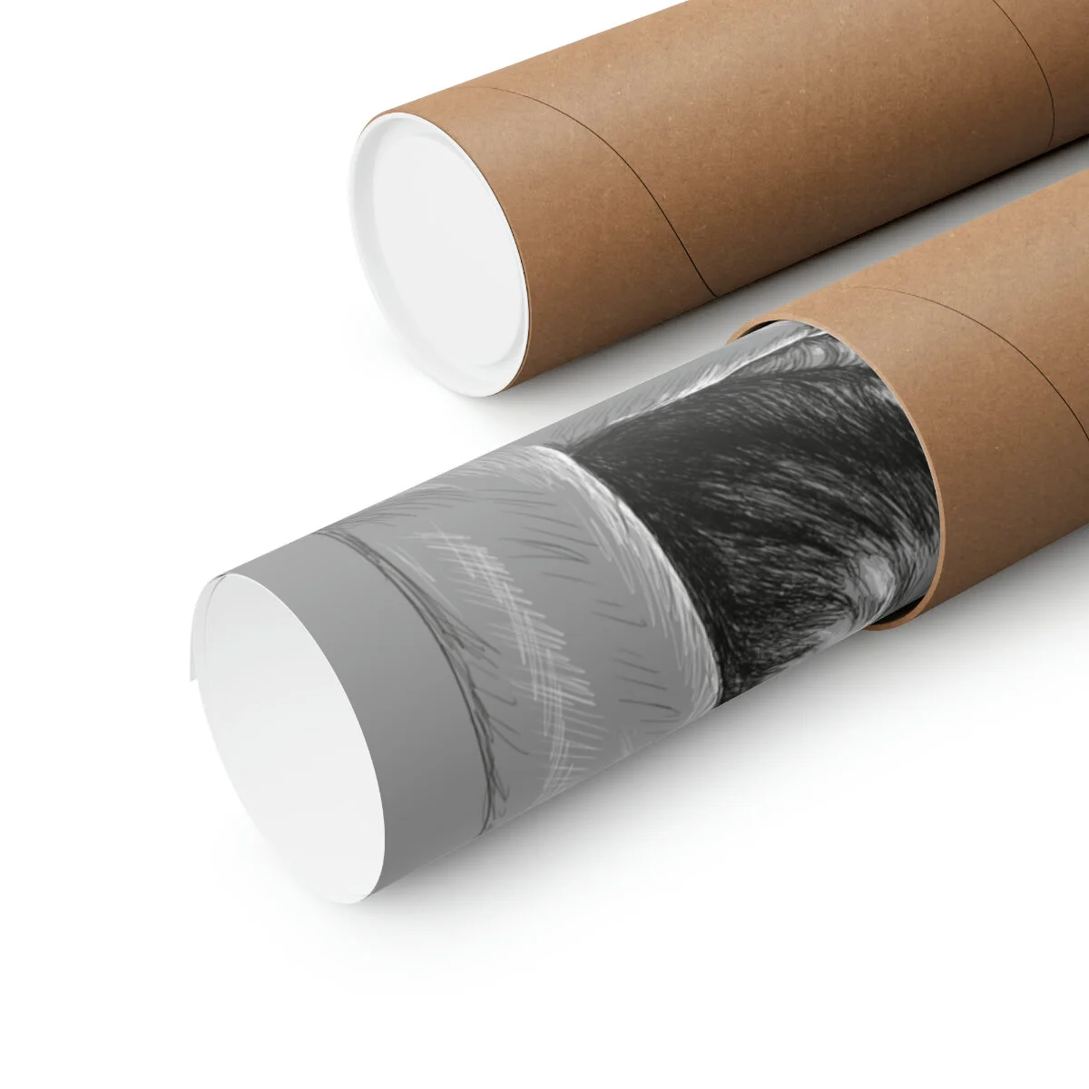 1201ff951b0d579d4faf0ac2296c3af4