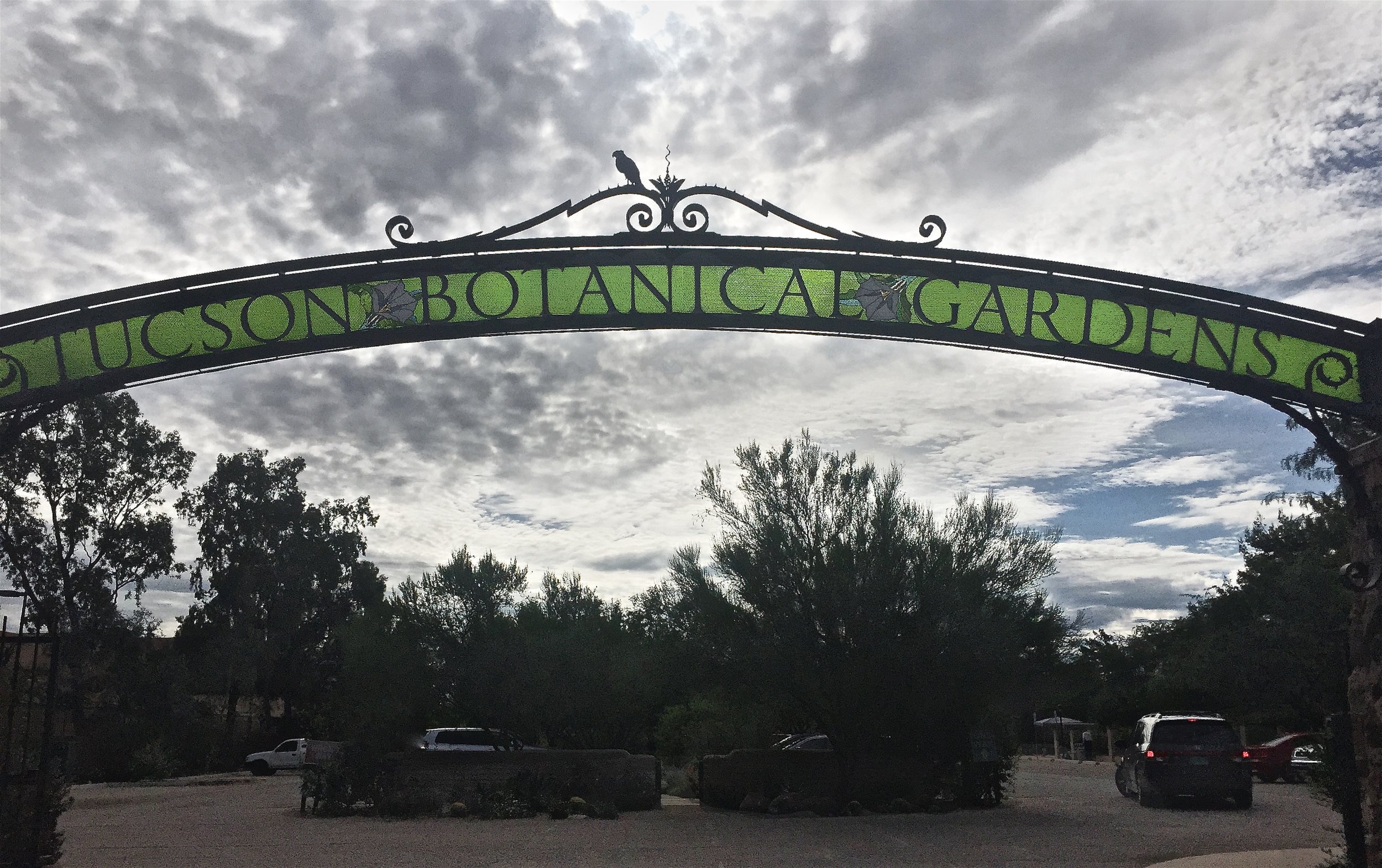Exploring The Tucson Botanical Gardens During The Dog Days Of