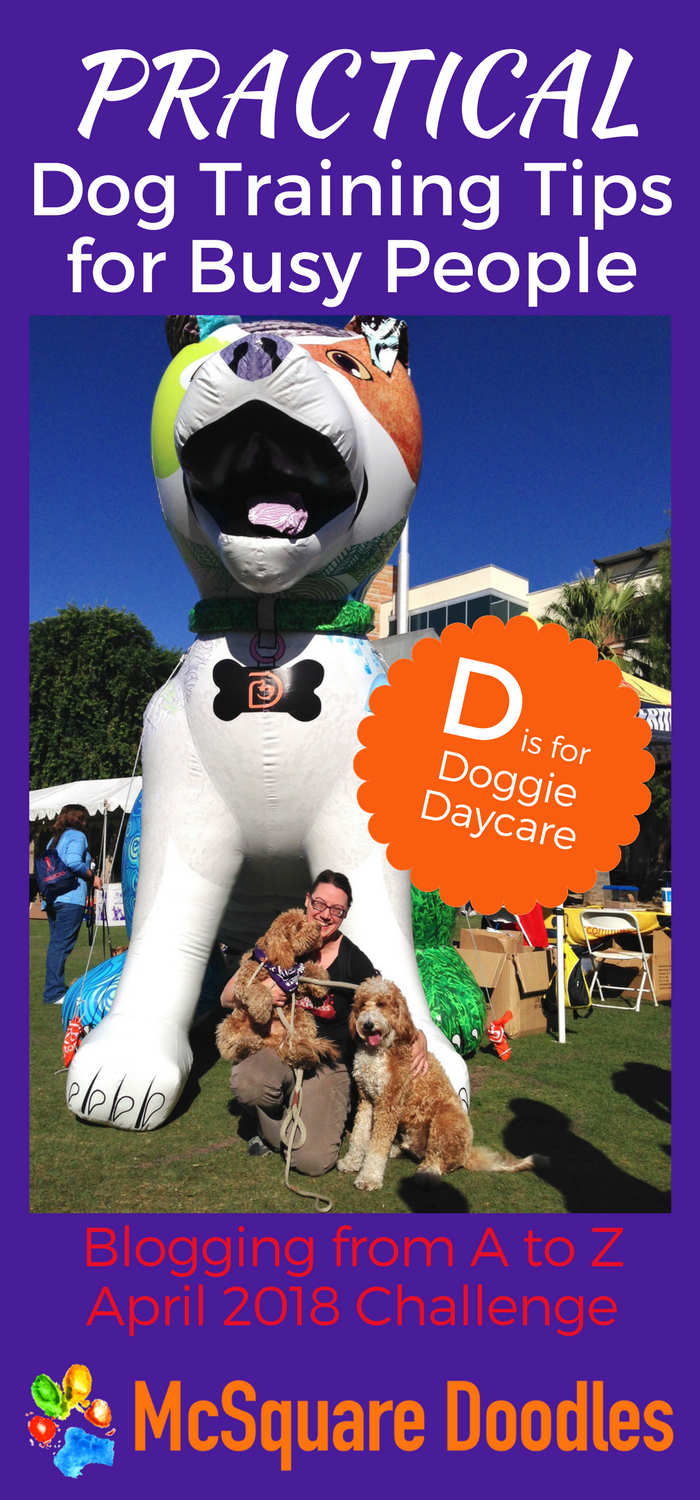 #AtoZChallenge - D is for Doggie Daycare - Practical Dog Training Tips for Busy People on McSquare Doodles