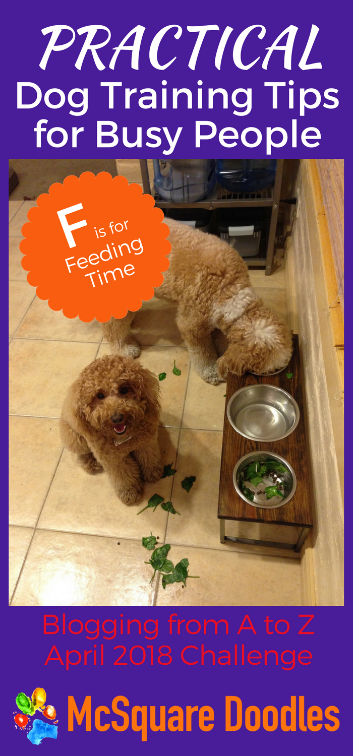 #AtoZChallenge - F is for Feeding Time - Practical Dog Training Tips for Busy People on McSquare Doodles