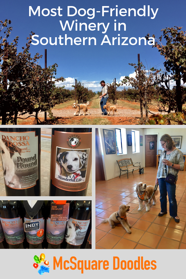 Pack Field Trip to the Most DogFriendly Winery in Southern Arizona