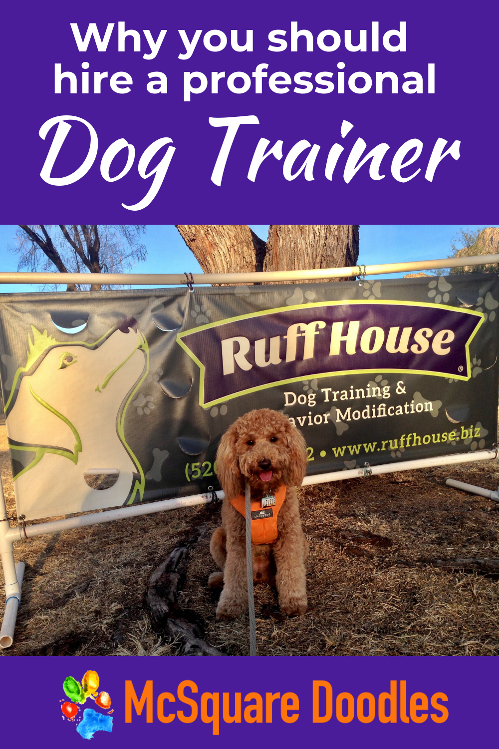 Practical Dog Training Tips for Busy People - X is for eXperts. Finding a dog obedience trainer who works well with you and your dog is crucial for success with dog training. Read why at McSquare Doodles! #McSquareDoodles #dogtraining #dogtrainingtips #therapydogtraining