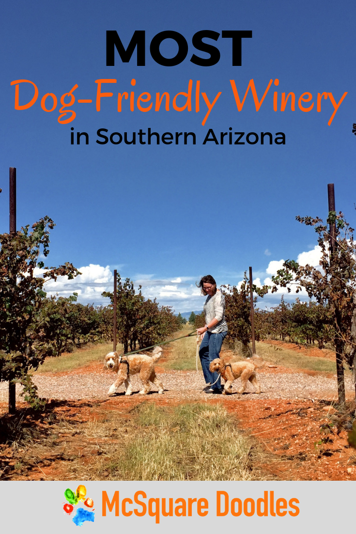Pack Field Trip to the Most DogFriendly Winery in Southern Arizona