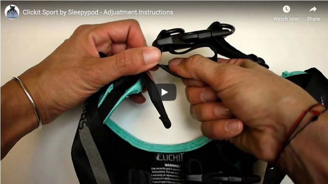 Best Dog Harness for Car Safety It's the Sleepypod brand! — McSquare