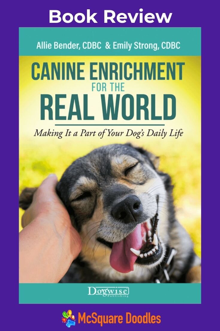 Canine Enrichment Center