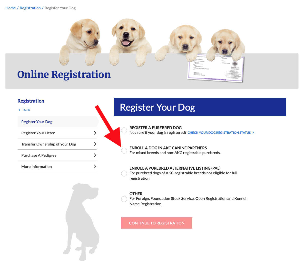 how do i register my dog as a pedigree