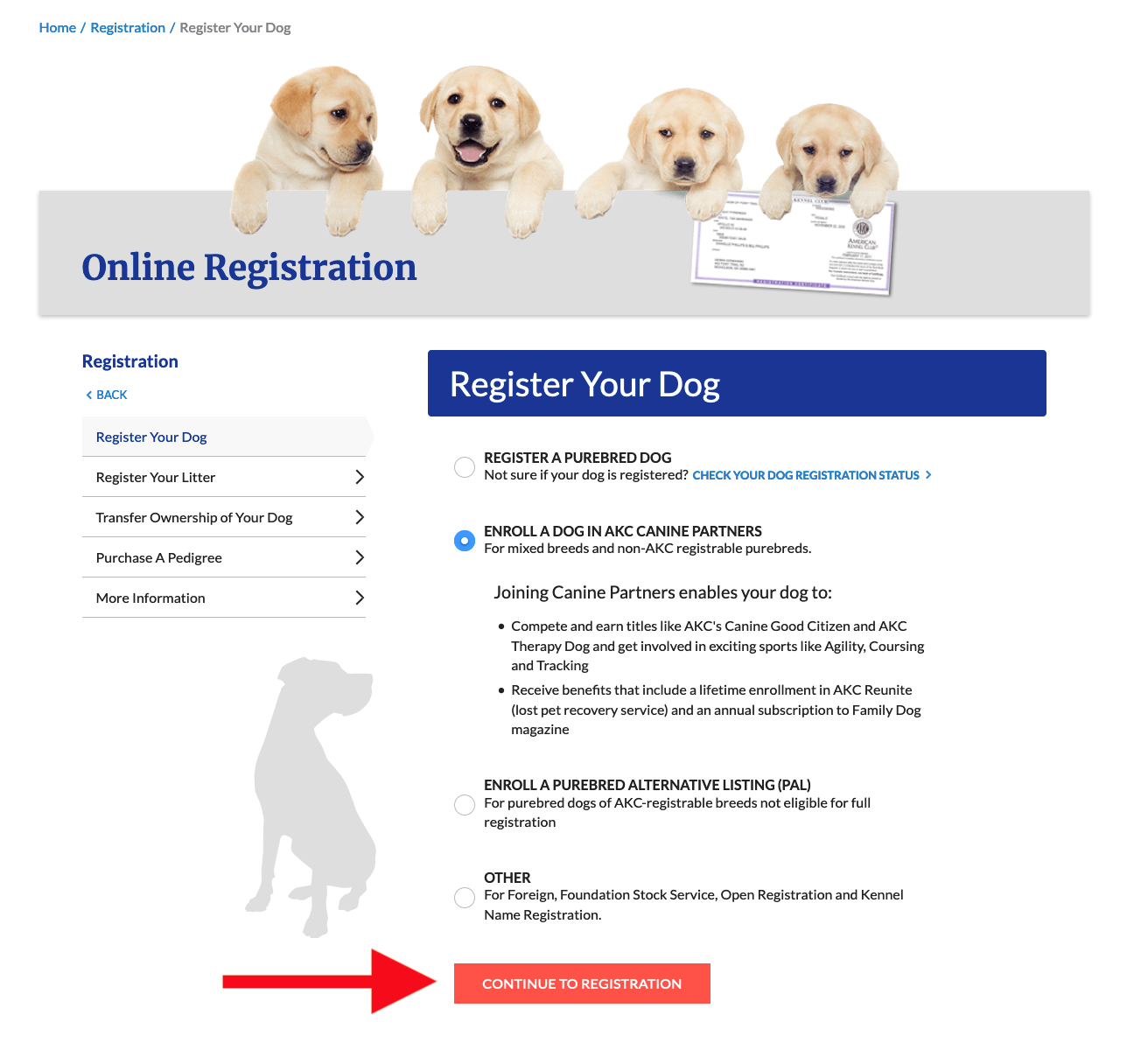 can you show a dog with limited akc registration