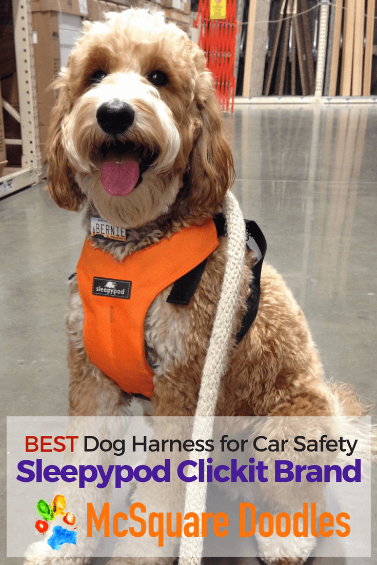 sleepypod dog car harness