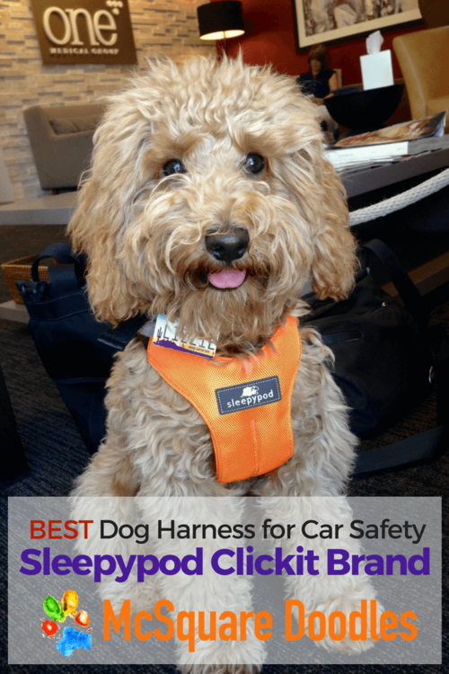 best-dog-harness-for-car-safety-sleepypod-brand-lizzie-mcsquare-pin-image.png
