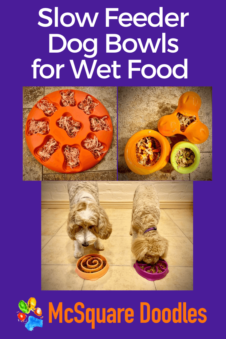 slow-feeder-dog-bowls-wet-food-pin.png