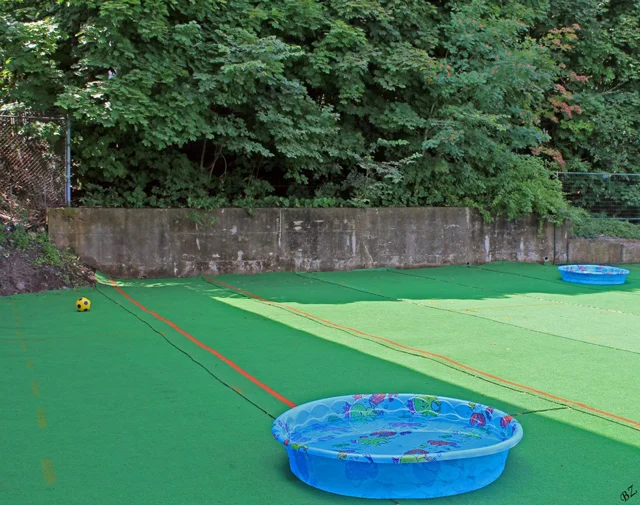 Outdoor turf at 3484 Intercolonial St