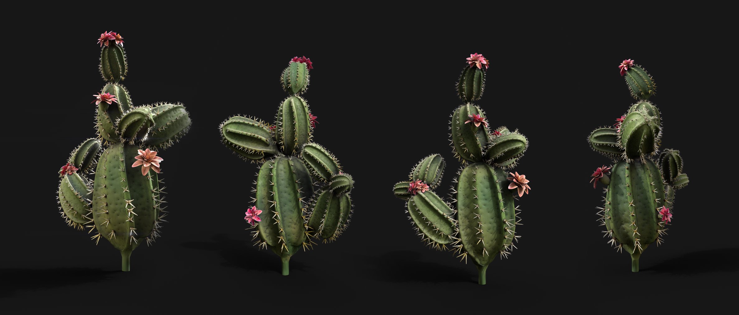 Semi stylized Cactus