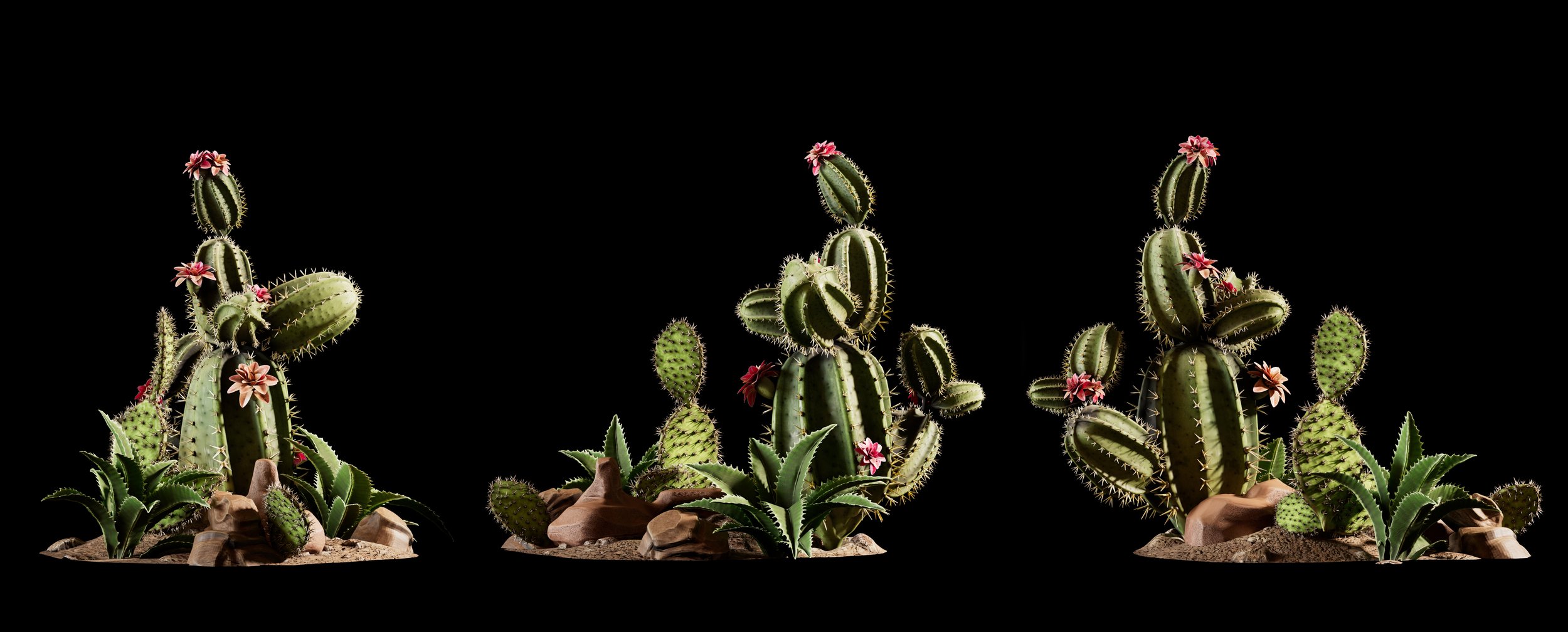 Desert Terrain