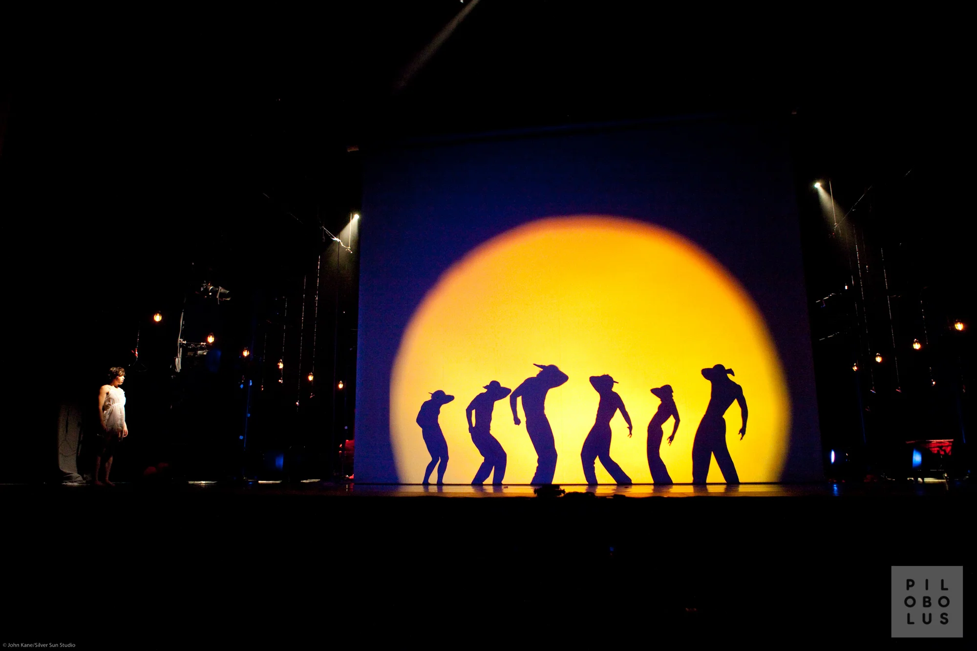 Shadowland 1 WM.jpg