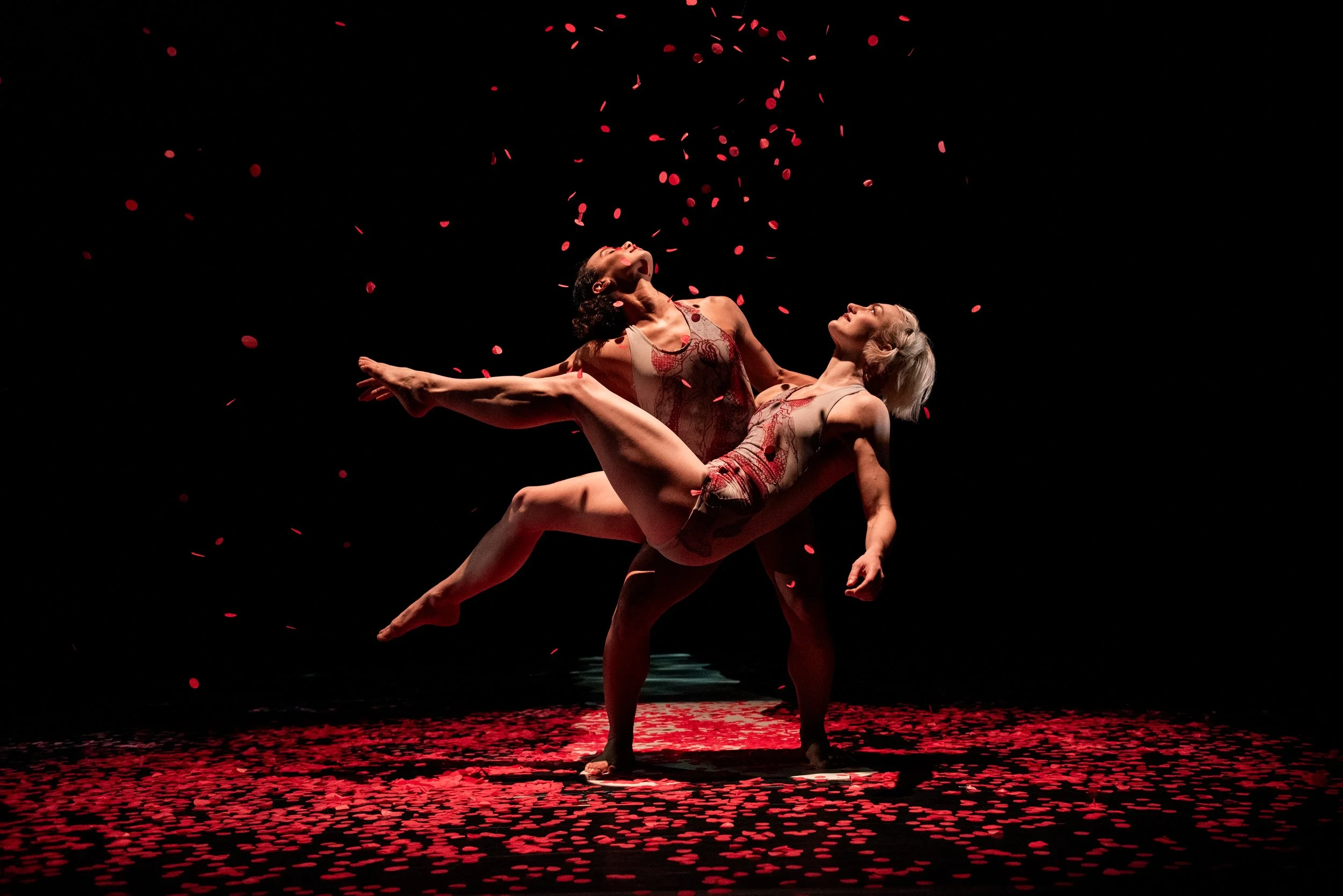 Bloodlines - Duet 24 - Debut - Walton Arts Center - Fayetteville AR - Jason Hudson - WAC318 - 2024-03-14.JPG