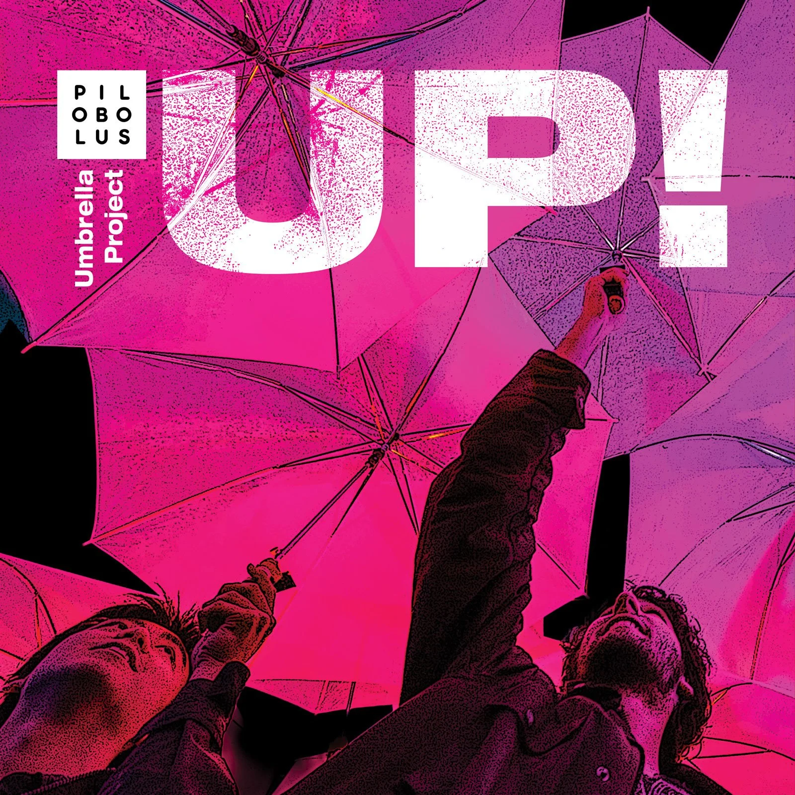 UP! - 8PM Experience