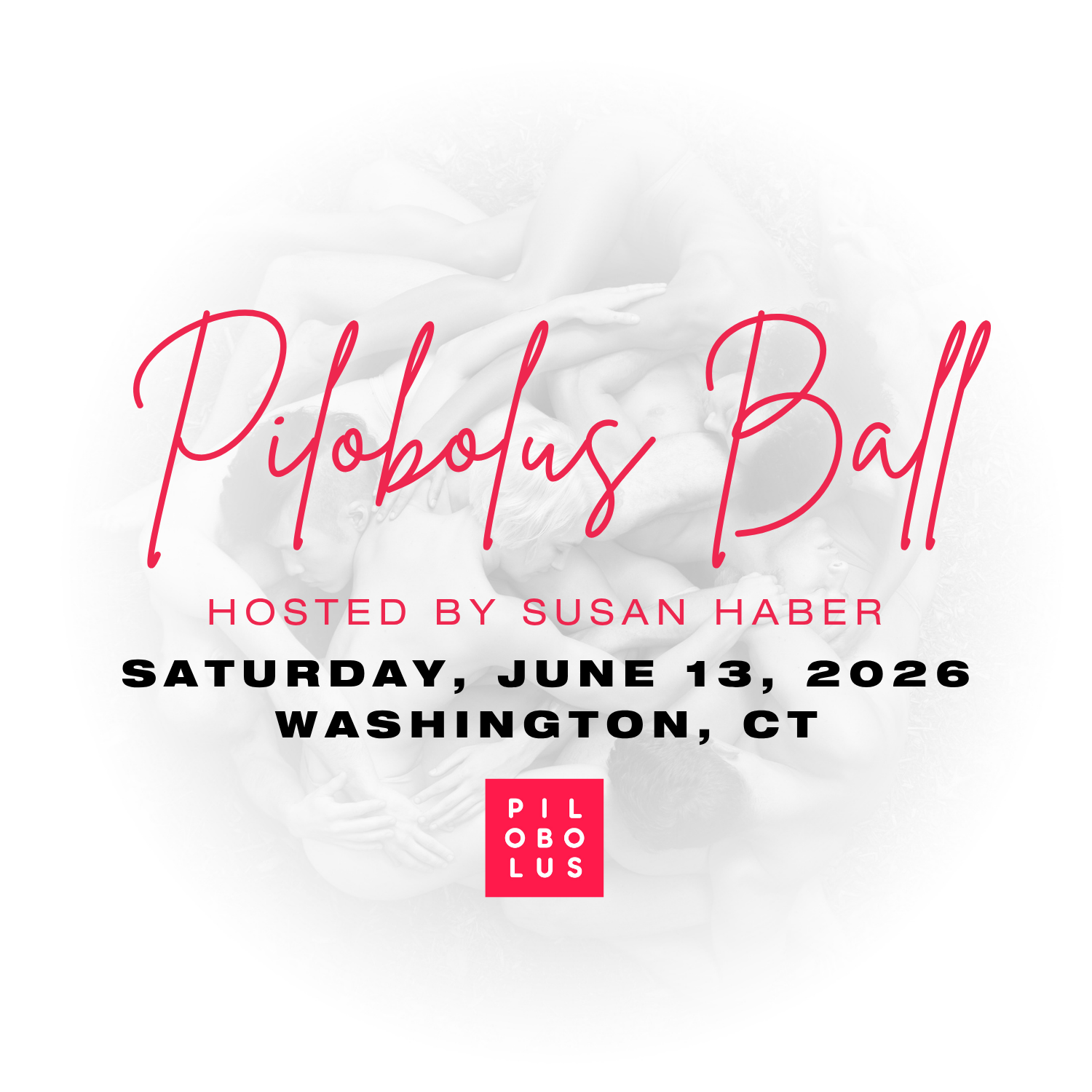 Pilobolus Ball 2026 SH - Square.png