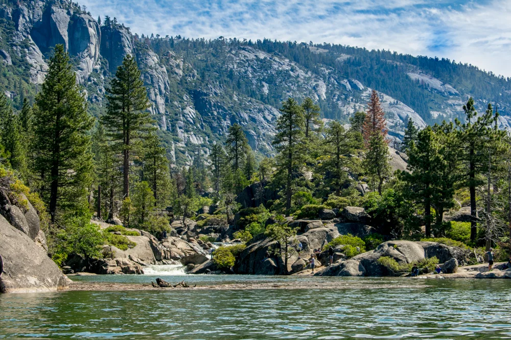 2017-07 Pinecrest