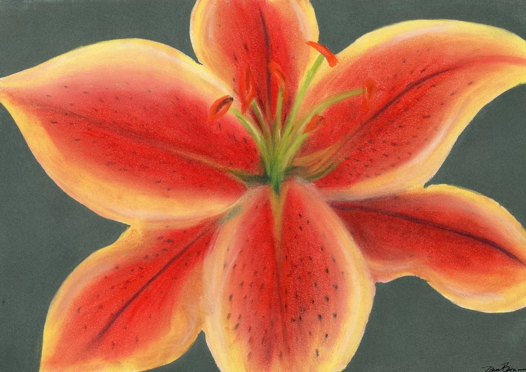 lily_in_pastel_by_zbarama-d4o2jb1.jpg
