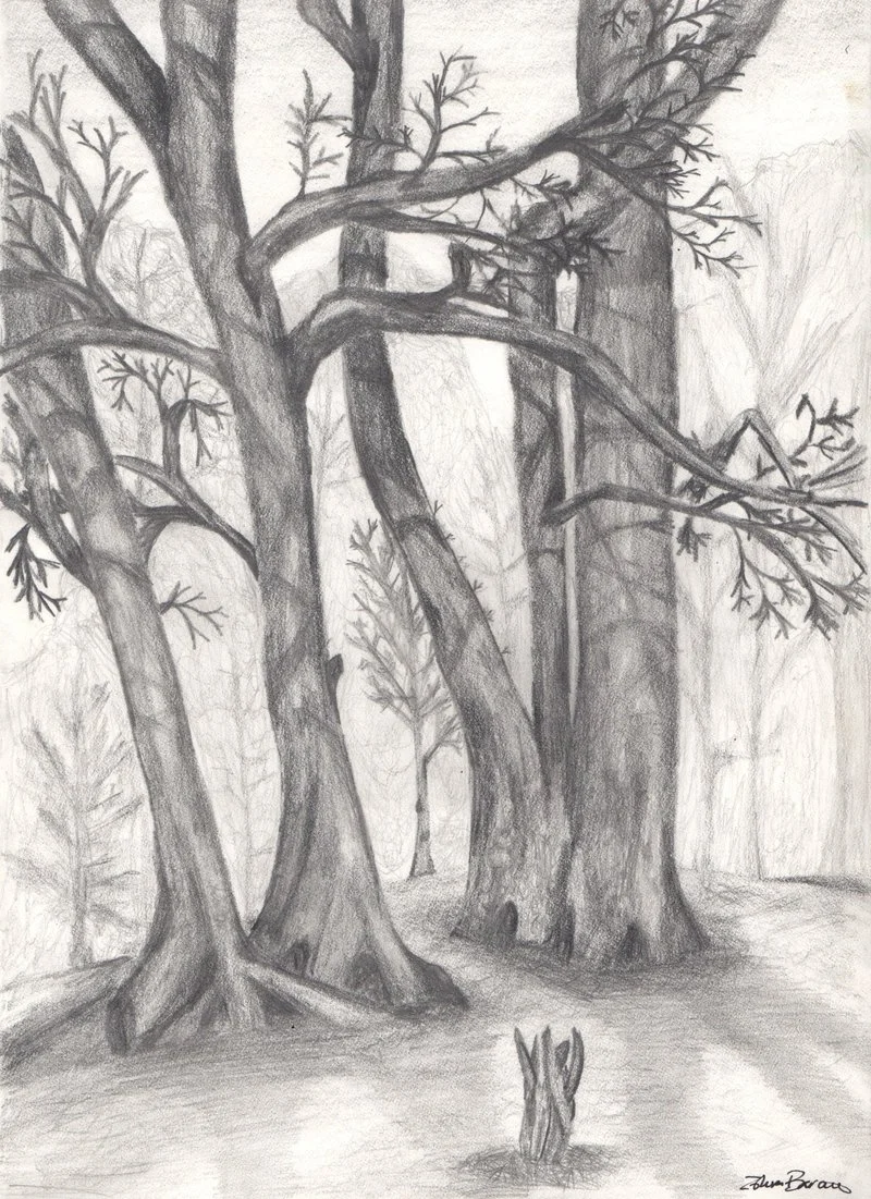 trees_by_zbarama-d343dhu.jpg