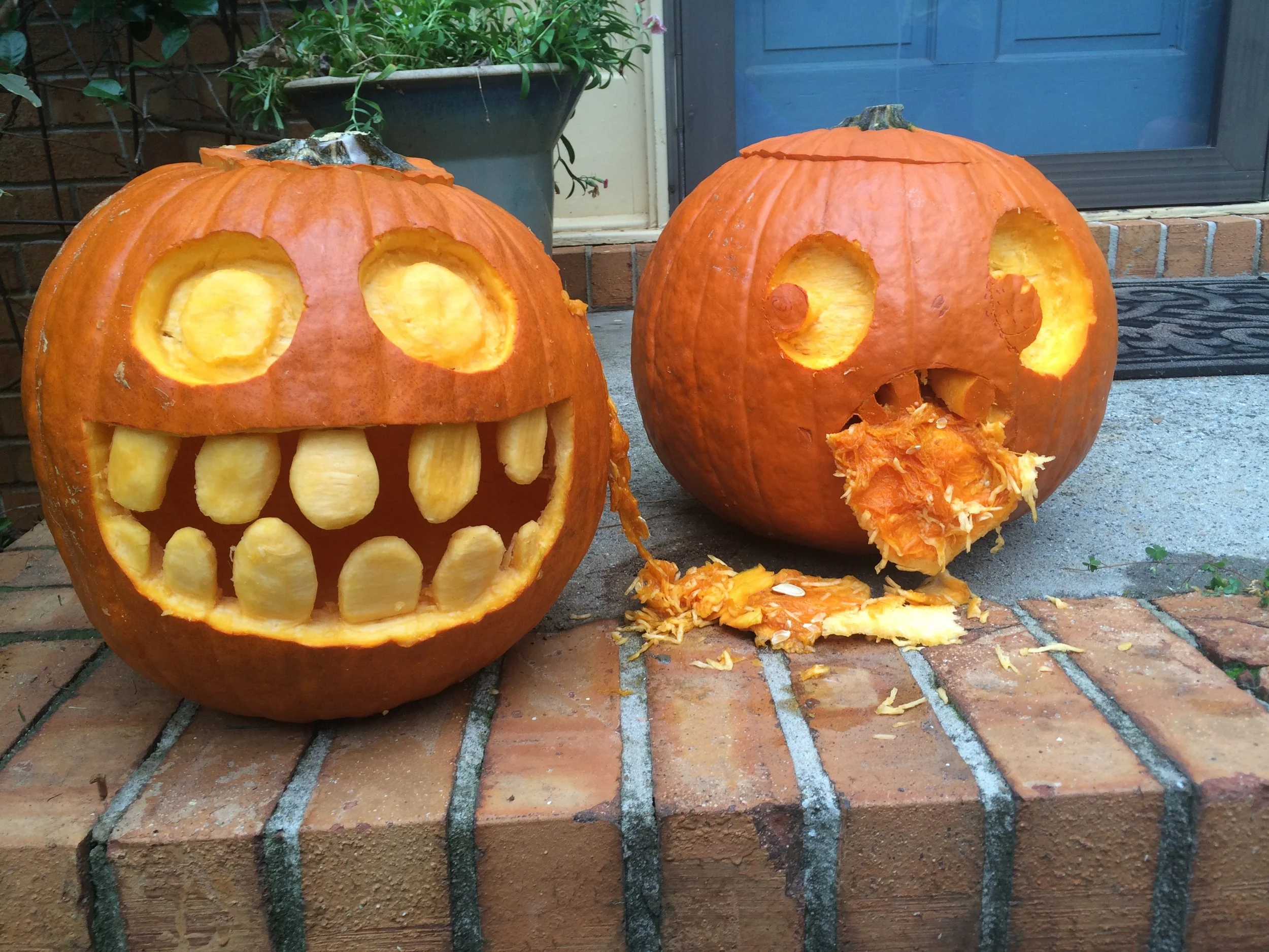 pumpkin.jpg