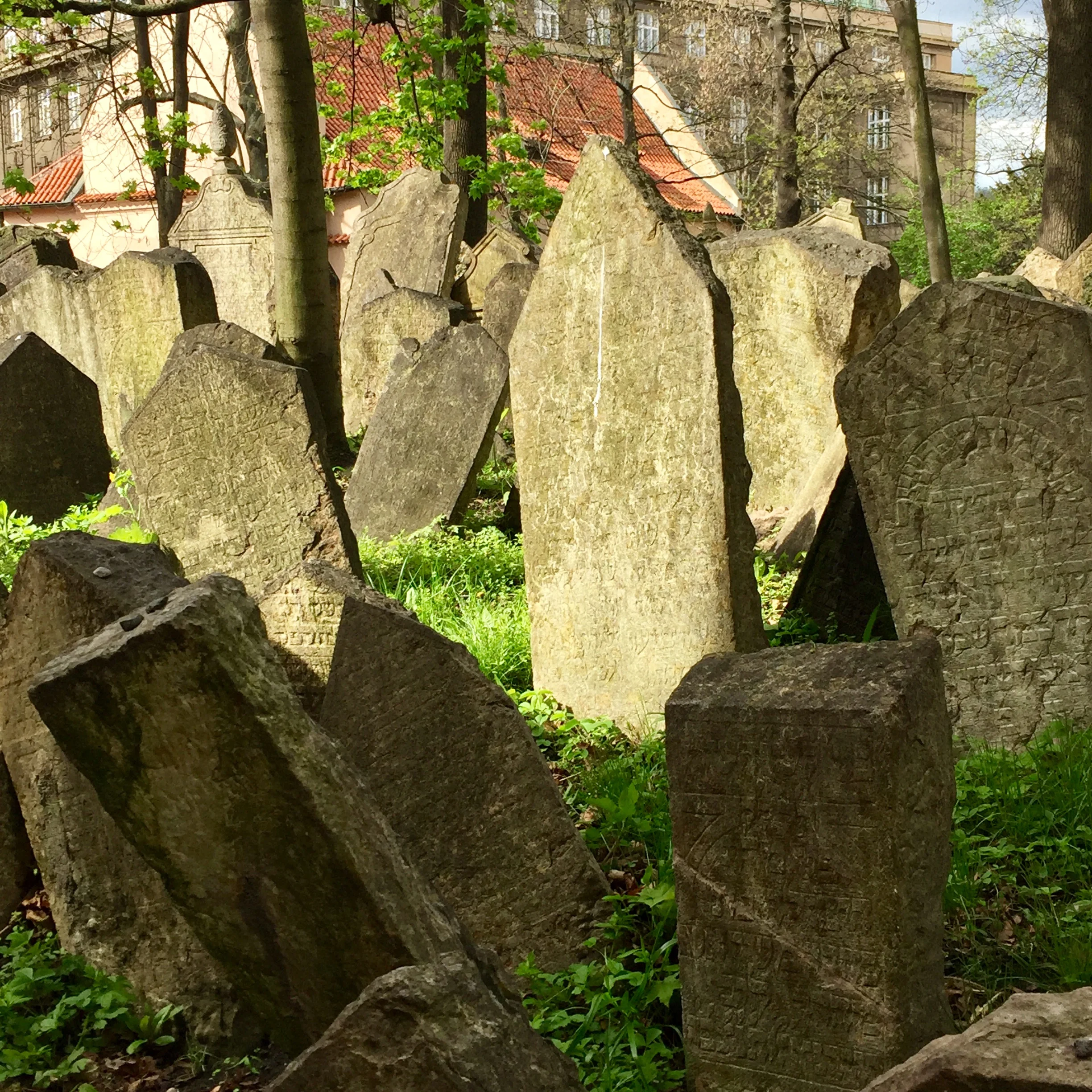 While I spent much of my time in Prague sick, I did visit the Jewish Quarter.