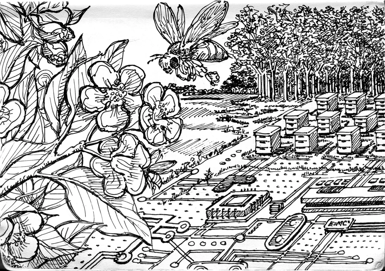 The last bee.jpg