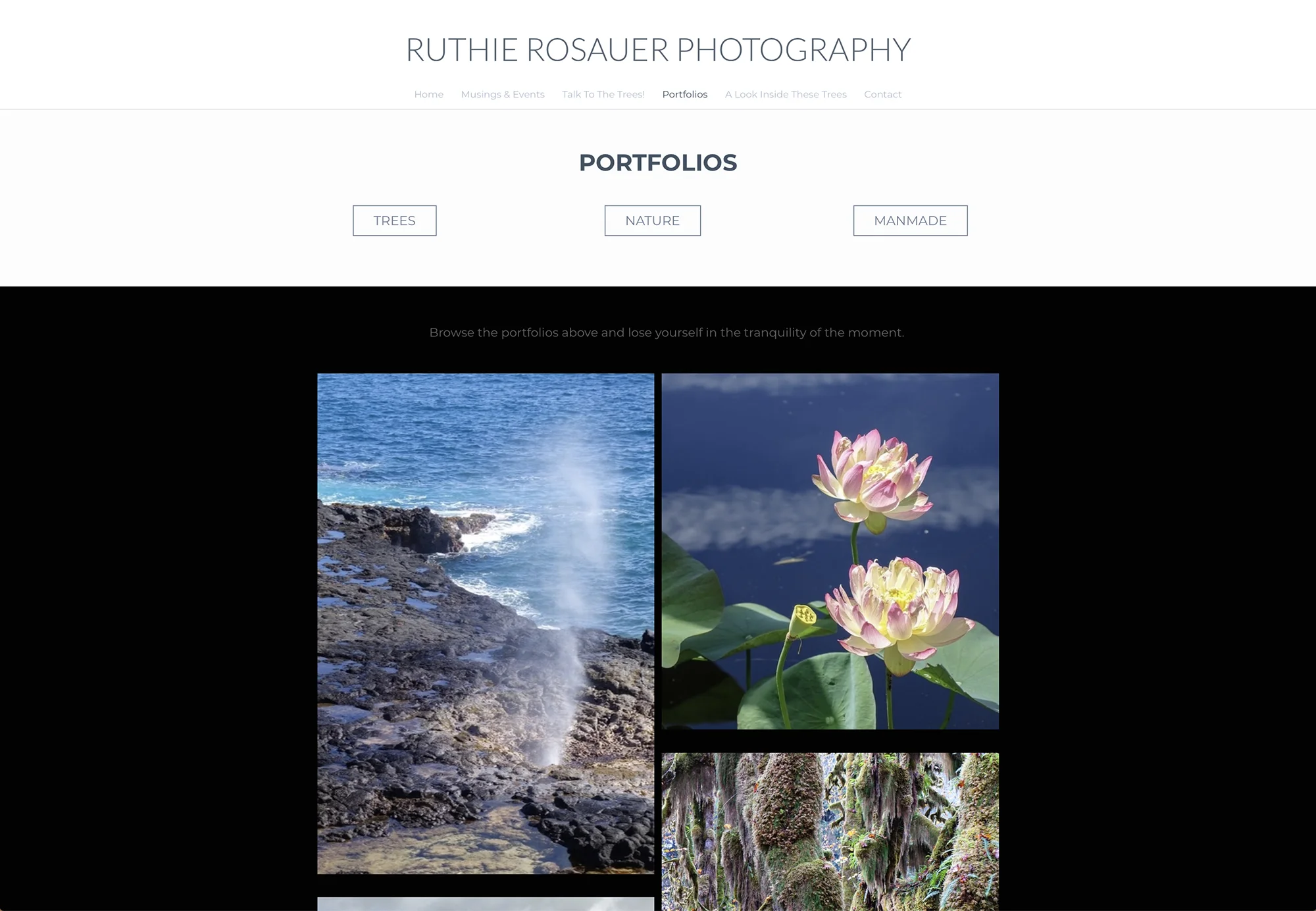 RR Website 06.jpg