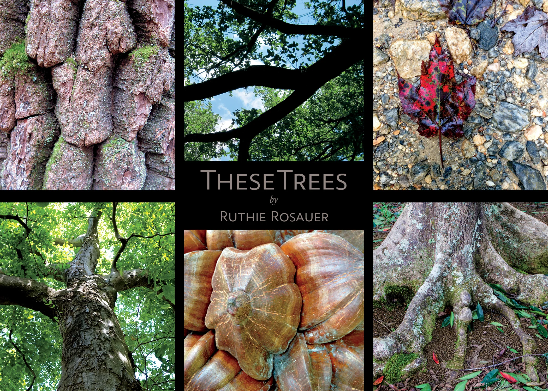 These Trees_Card_5X7_042.jpg