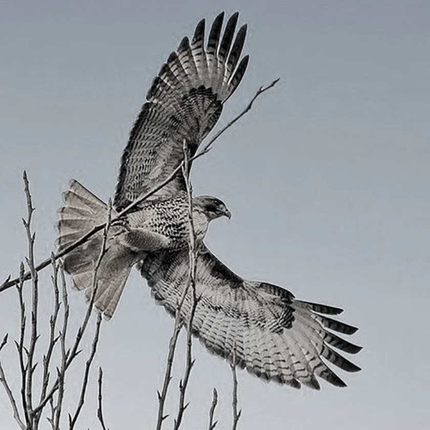 There’s Got To Be Something More