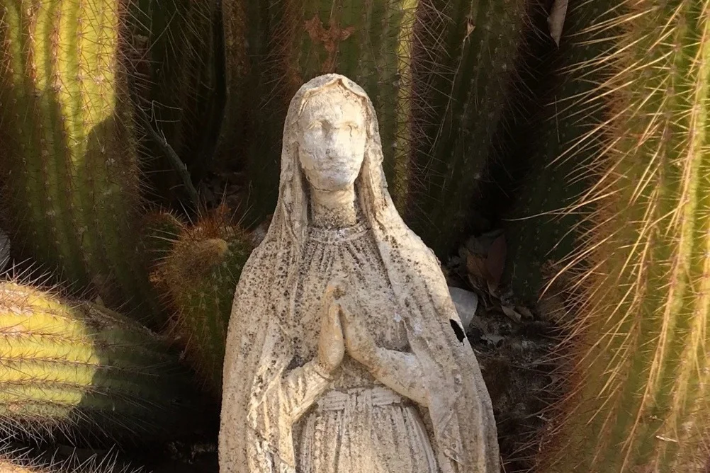 Your Soul's Calling.  2019.