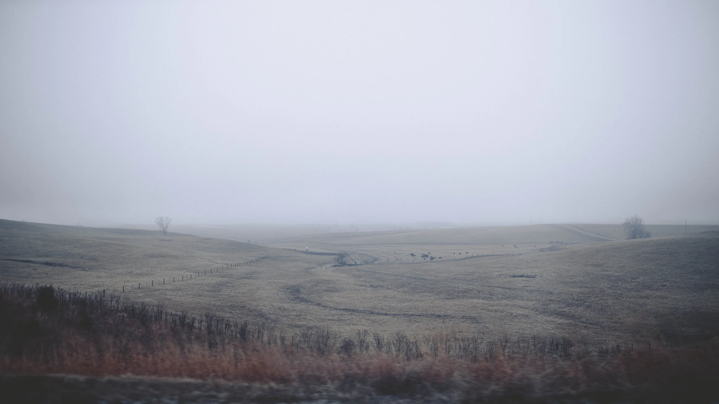 8C6A7935.jpg