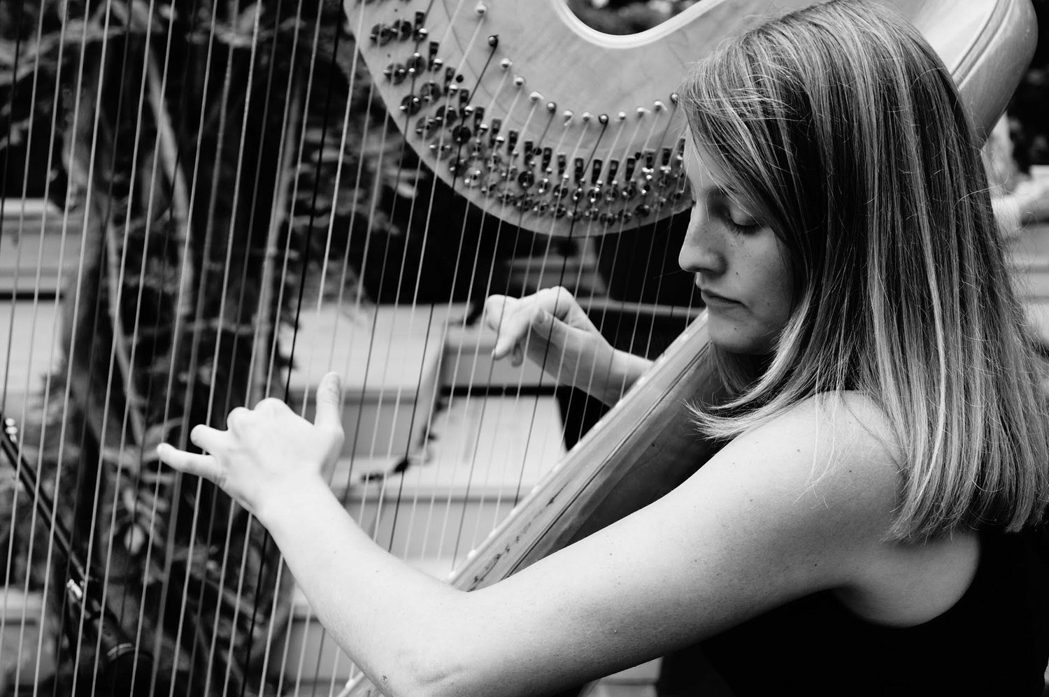 black+and+white+harp+photo.jpg