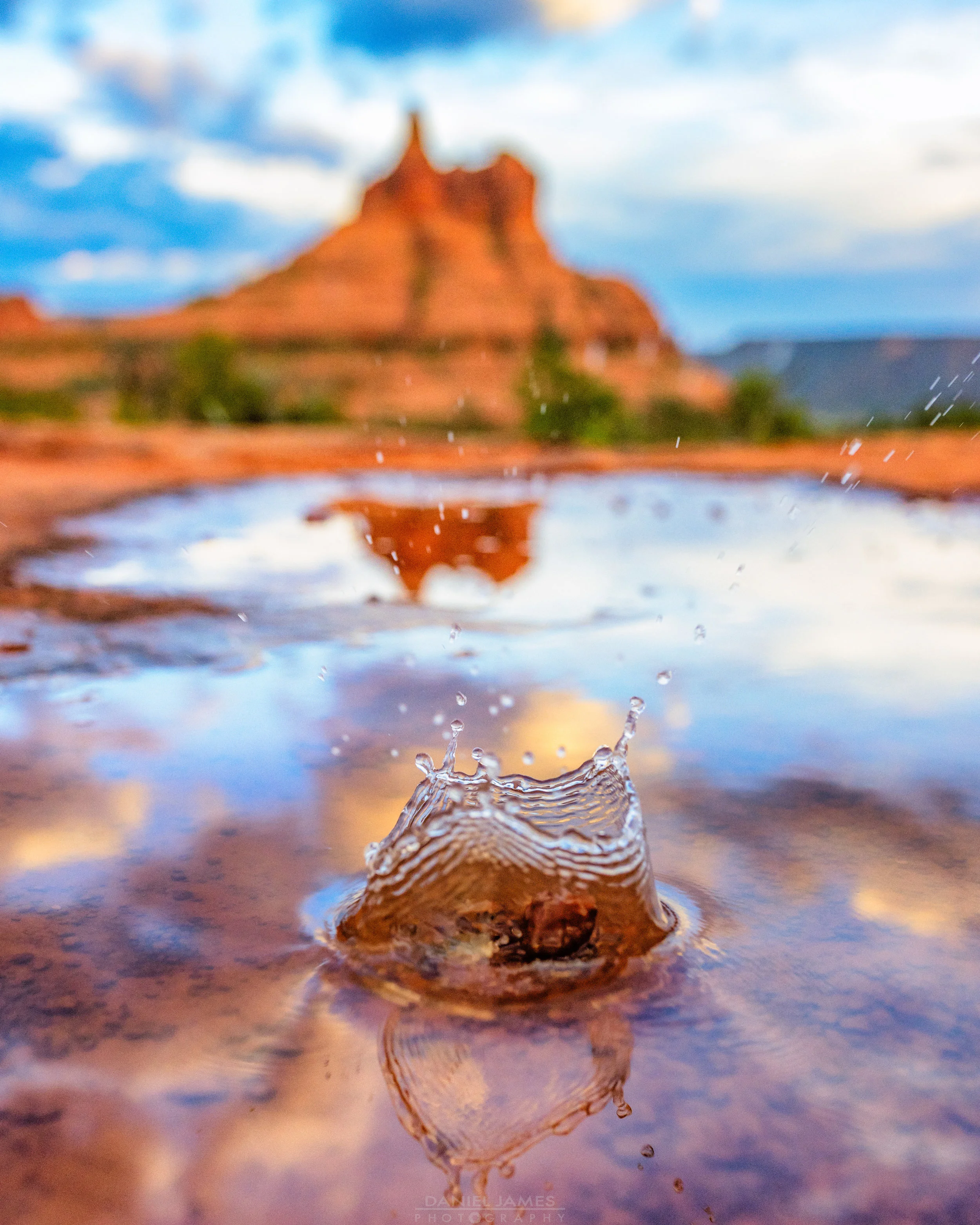 Bell Rock Reflection Splash Watermark.jpg