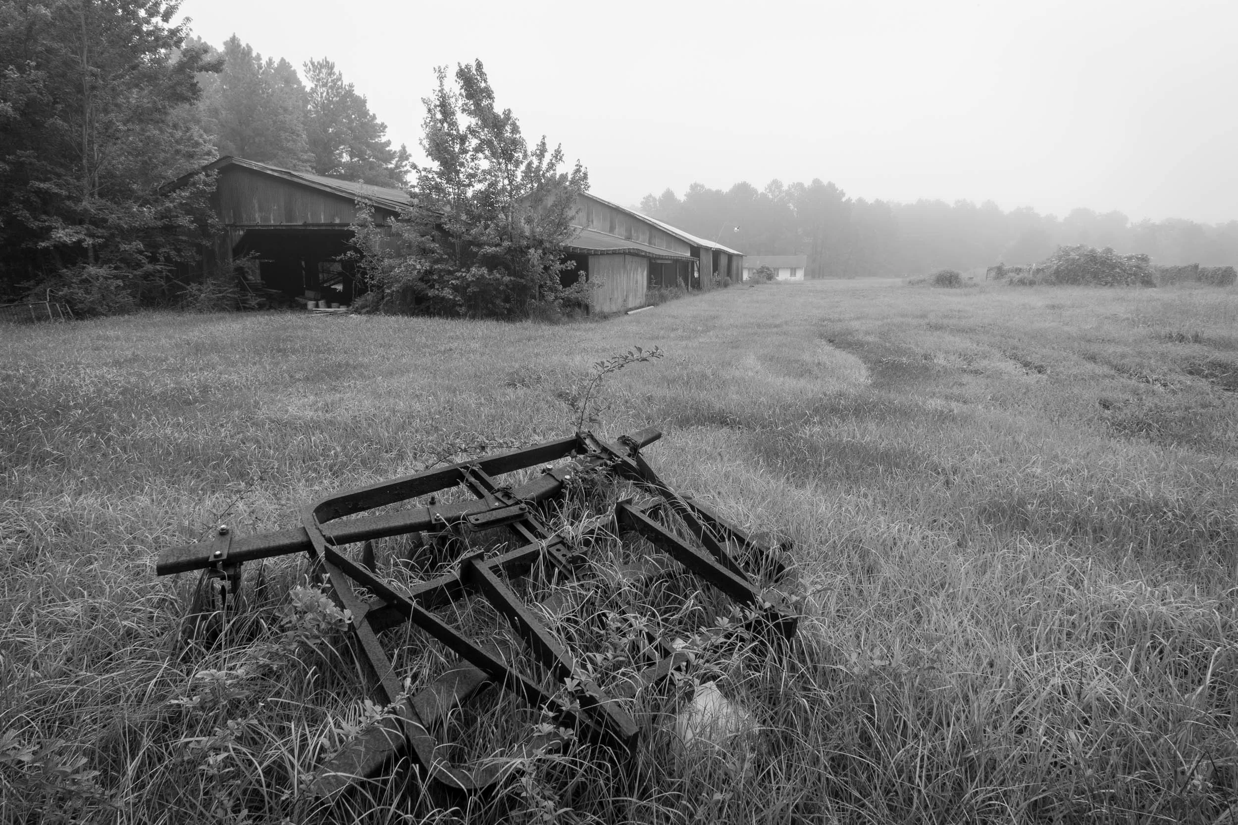 The Barn