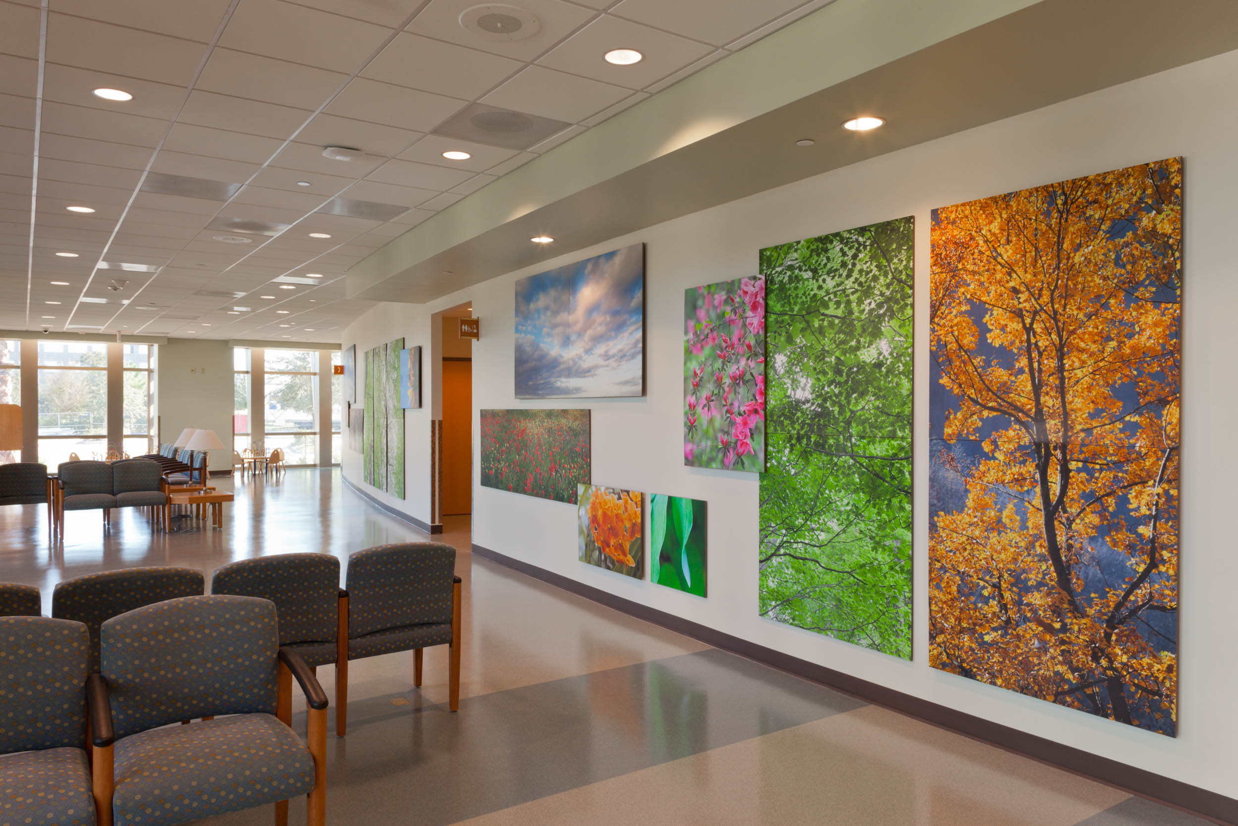 Healing Nature - Baptist South Emergency Lobby 1