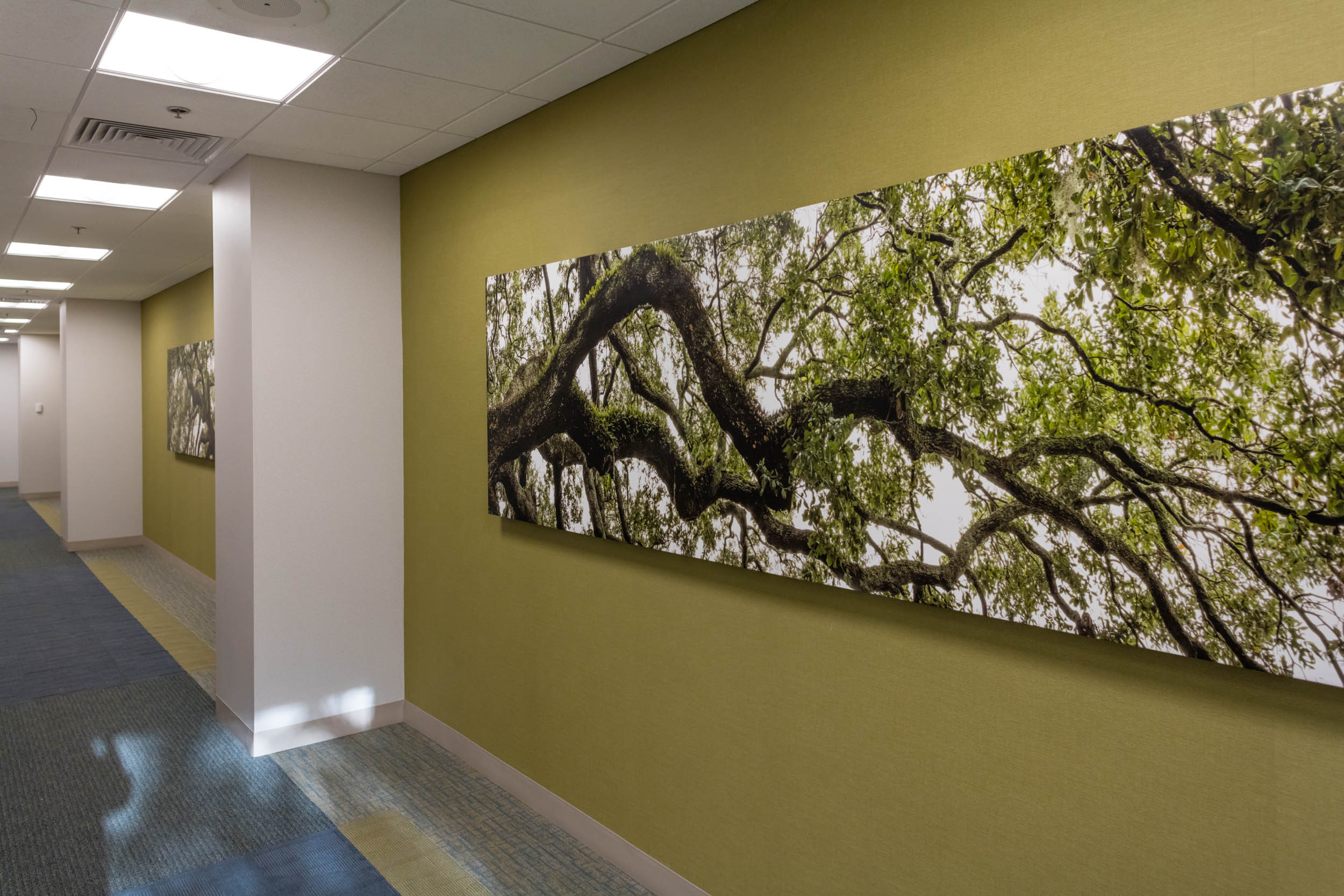 Cummer Oak C - Print on canvas