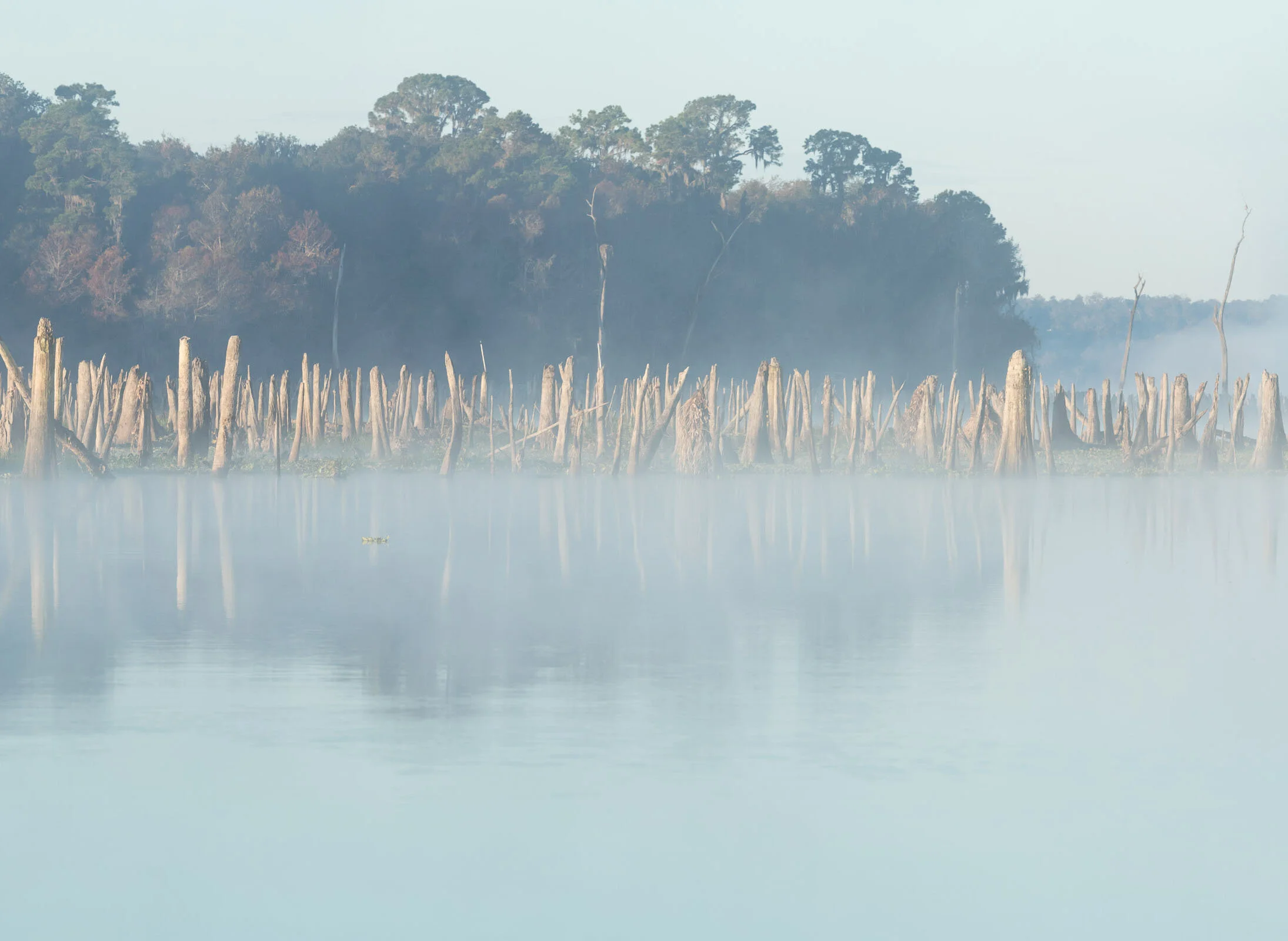 Ocklawaha-2019-1206-144-4.jpg