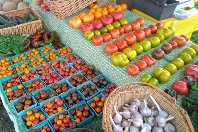 tomatoes at market.jpg