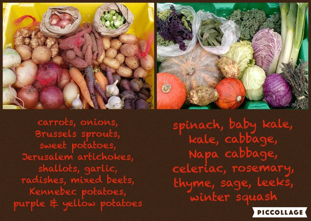 November fall share.jpg