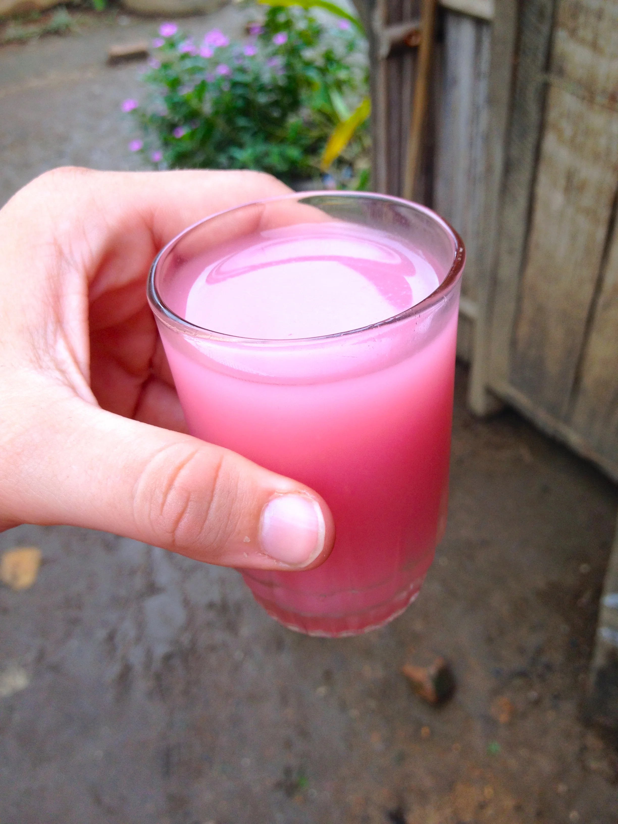 Coco-fraise (coconut strawberry) juice at the E.P.P. Kianjavato.