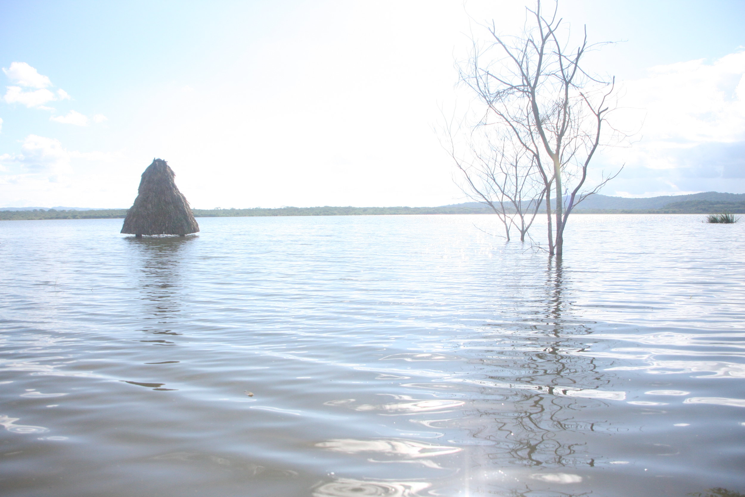 Risen water levels of Laguna Yaxhá.